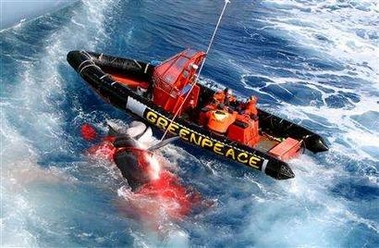Greenpeace activists sit in their inflatable boat after a harpoon fired from a Japanese whaling ship narrowly missed them in the Southern Ocean January 14, 2006. 