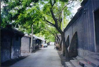 Chorography to record rise and fall of Beijing’s Hutongs