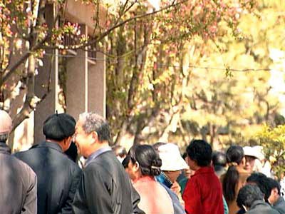 Parents seek romance for single children
