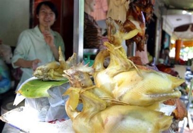 Vietnam confirms 42nd bird-flu death