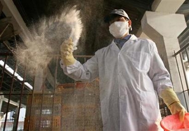 Woman dies of bird flu, vaccine trials to start