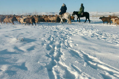 Blizzards hit Northern Xinjiang