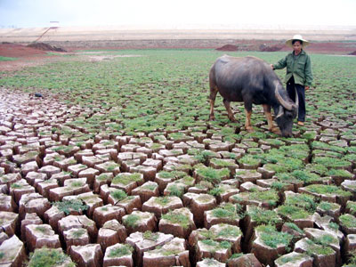 Persistent drought hits Guangdong