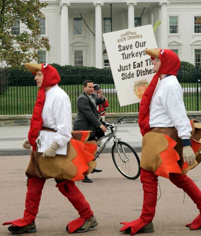 Save turkeys 