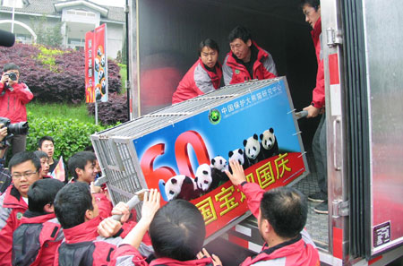 Six pandas arrive in Beijing