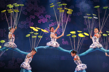 acrobaticsshow