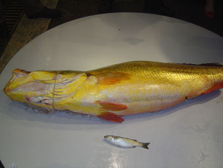 codfish sold for 580,000 yuan