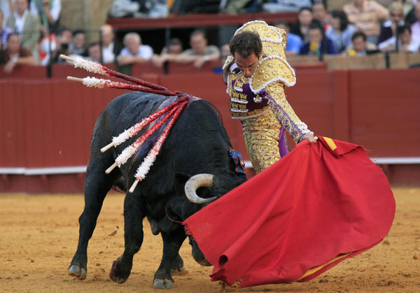 bullfight in spain