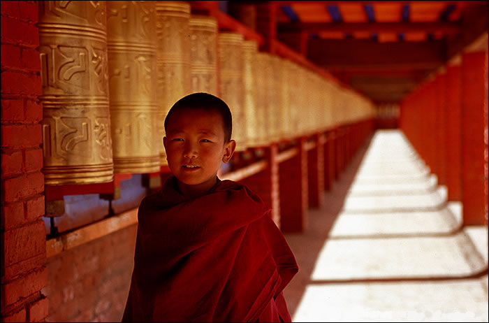 The Search for Living Buddha