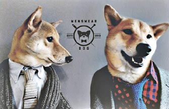 Worlds Best Dressed Dog1 Chinadailycomcn