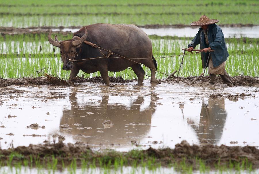 Farmers busy with planting crops in SW China