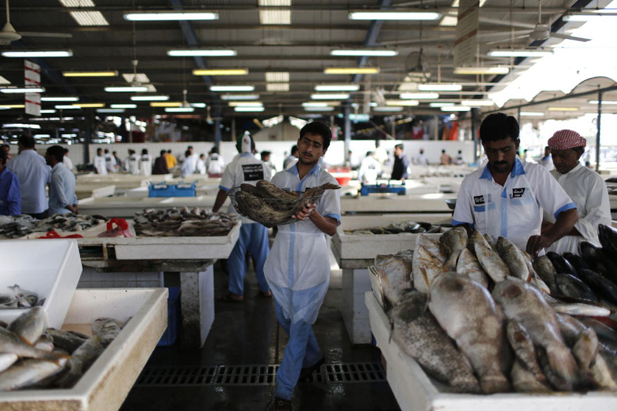 Fish market in Dubai