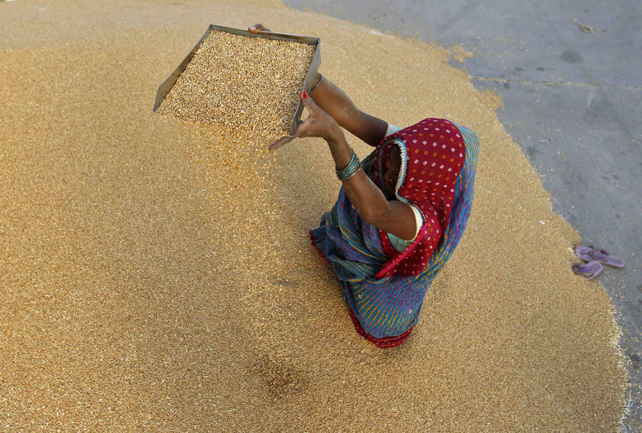 Grain market in India