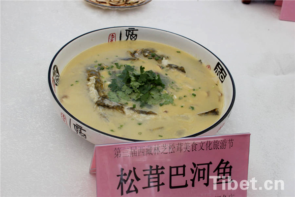 Experiencing matsutake delicacies in Tibet