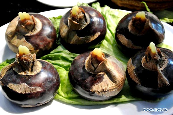 Stone food in Beijing int'l cultural expo