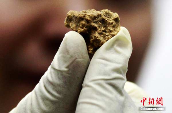 Chinese, German scientists discover world’s oldest cheese