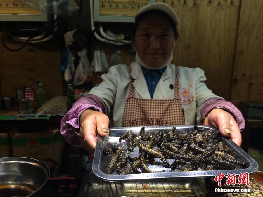 Insect dishes presented at food festival in SW China