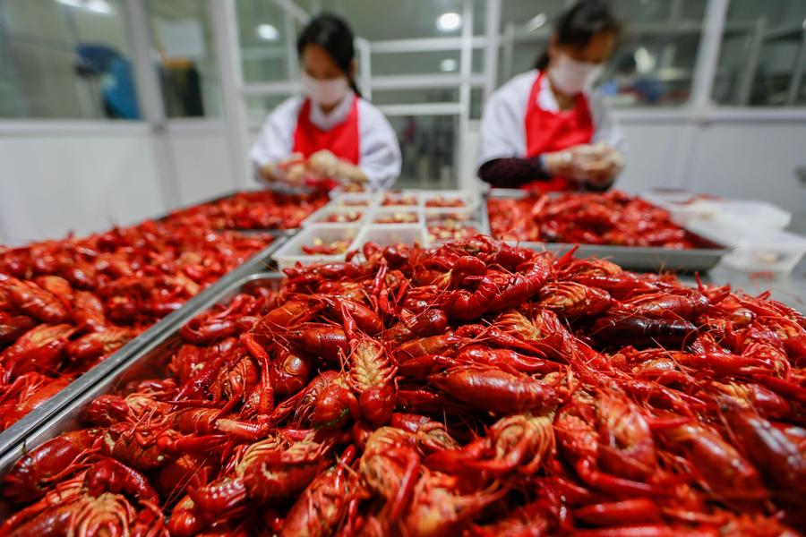 Int'l crayfish festival held in Xuyi, China's Jiangsu