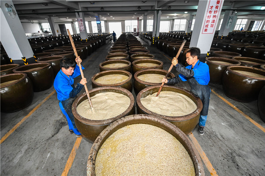 Rice wine brewing season in Shaoxing, China's Zhejiang