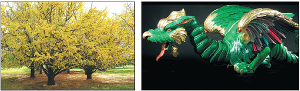 A place where beauty takes root