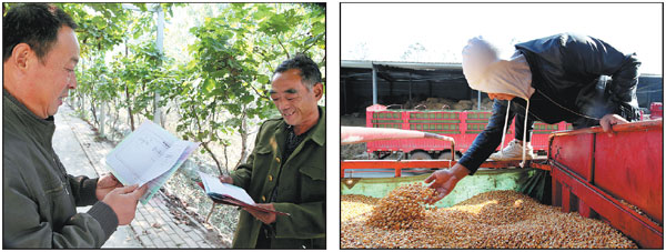 Land circulation yields higher living standards