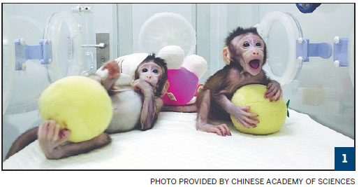 China cements place in scientific elite