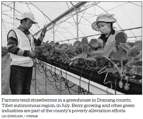 Tibet aims to give green industries a lift this year