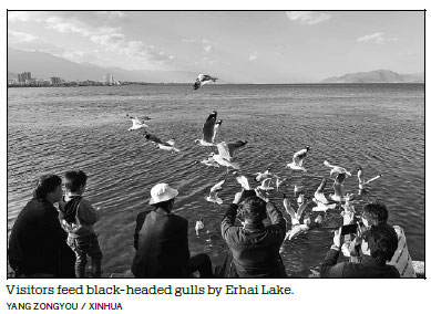 ERHAI LAKE CLEANS UP ITS ACT IN POLLUTION FIGHT