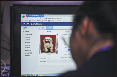 Dog lovers question need for canine crackdown