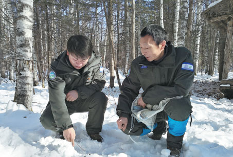 Rangers' uphill battle to save mountain wildlife