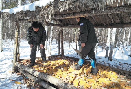 Rangers' uphill battle to save mountain wildlife
