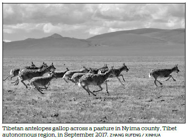 Tibet works to guard its jewels of nature