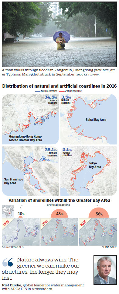 Coastline to provide natural storm defense
