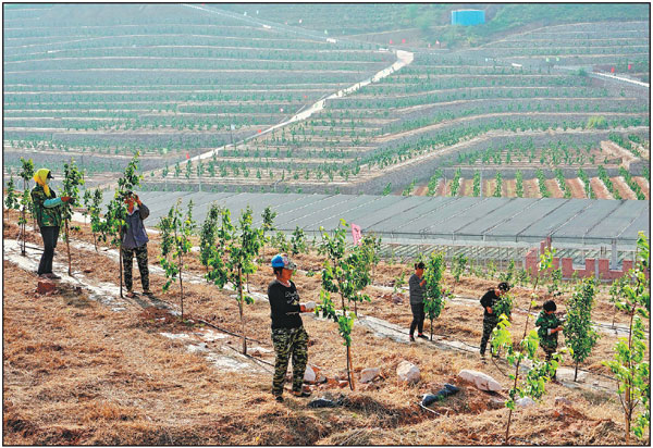 Curing soil pollution set to pay dividends