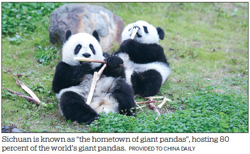 Sichuan opens cultural treasures to the world