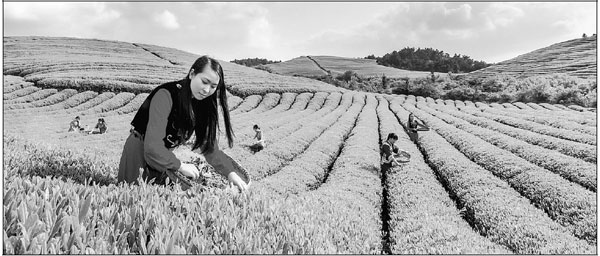 Guizhou takes the green road to growth