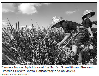 Hainan's hybrid seeds sprout along Belt, Road