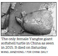 Turtle species nears extinction as last known female dies