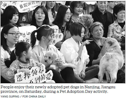 More Chinese choosing to adopt pets instead of buying