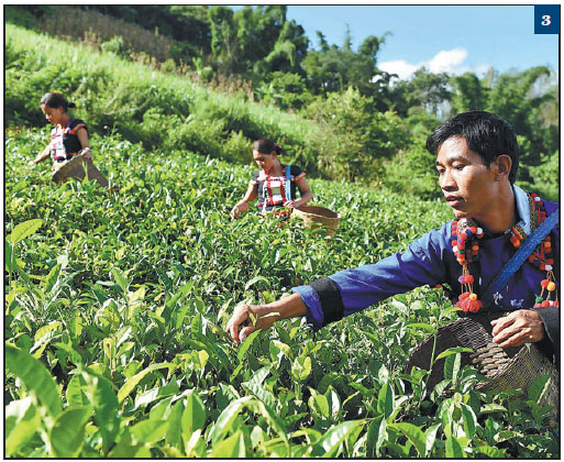 Tribes declared poverty-free
