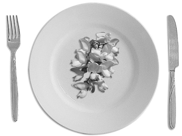 Let's eat some flowers