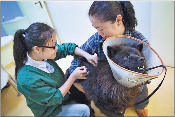 Pet care market sees robust growth
