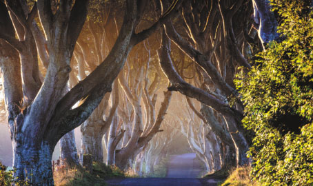 TOURISTS TAKE TO GAME OF THRONES TRAIL
