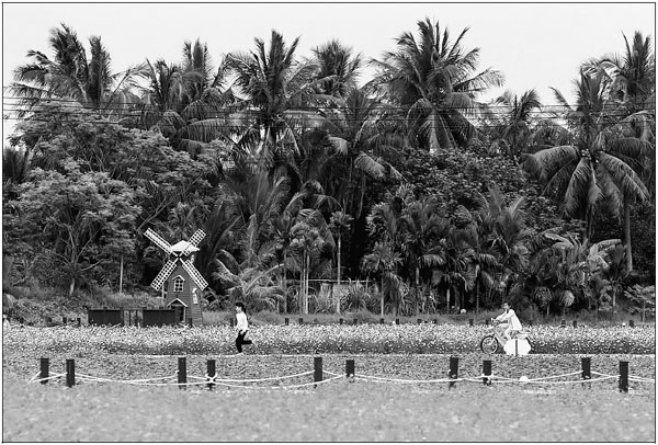 Hainan steps up environmental protection