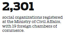 Social organizations to face random audit