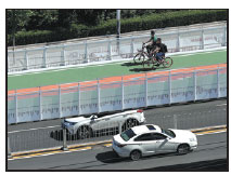 Public transport, 'superfungi' and university enrollments on agenda