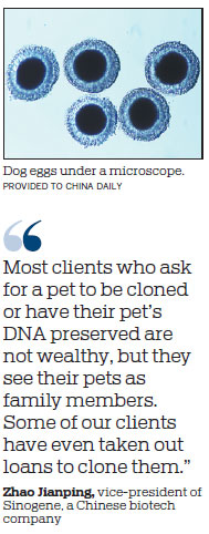 Growth of pet cloning means love never dies