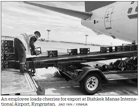 Cherries from Central Asia gaining popularity