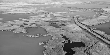 Relocation of herders helps restore ecosystem around Xinjiang lake