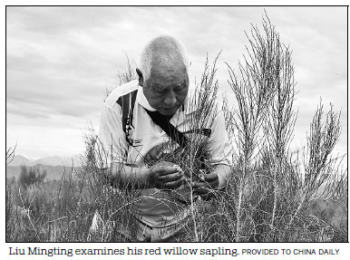 Red willow whiz's work pays dividends in desert
